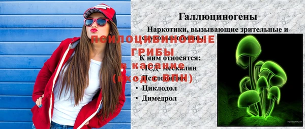 индика Сатка
