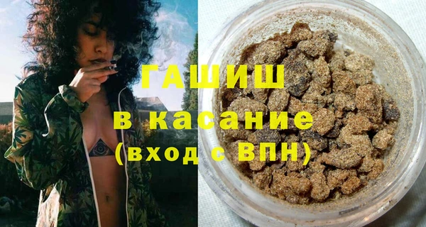 индика Сатка