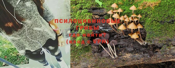 ALPHA-PVP Бородино