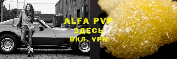 индика Сатка